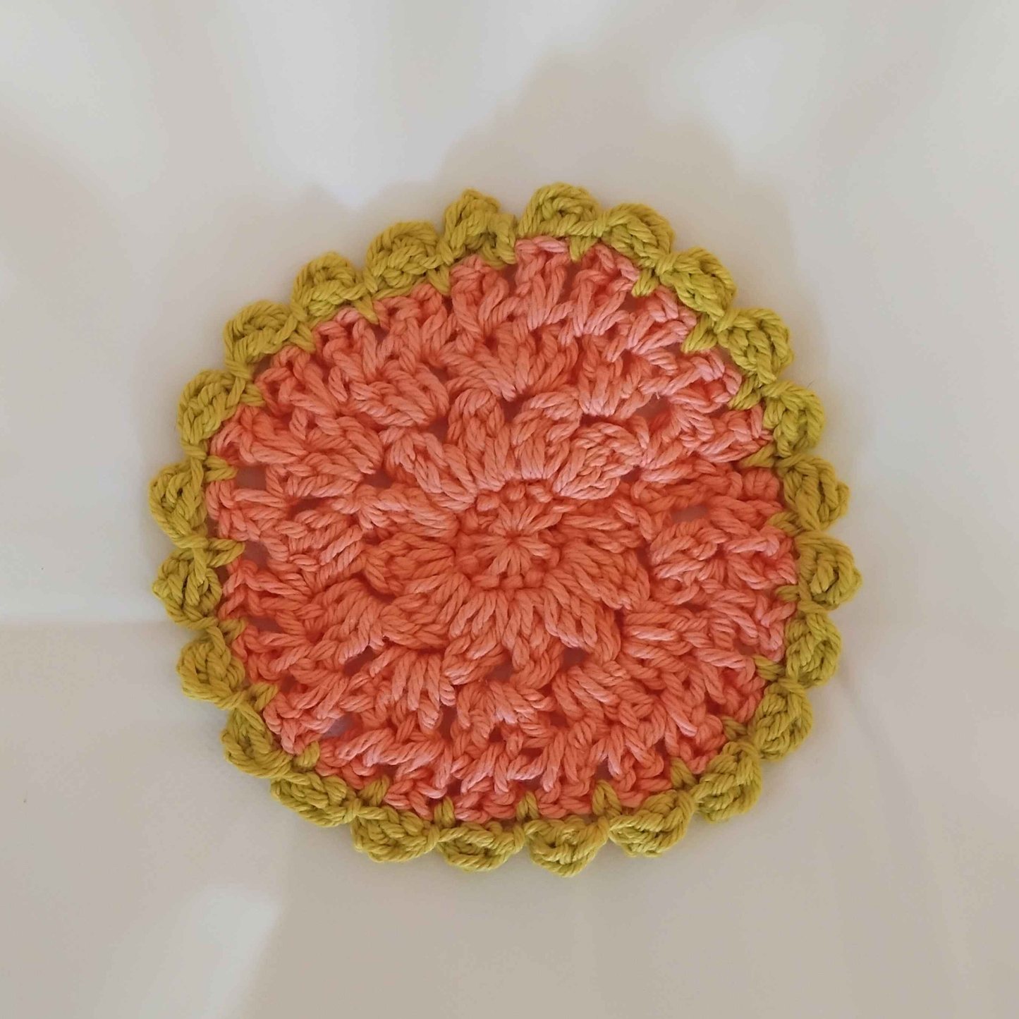 Coral Coasters (set of 4)